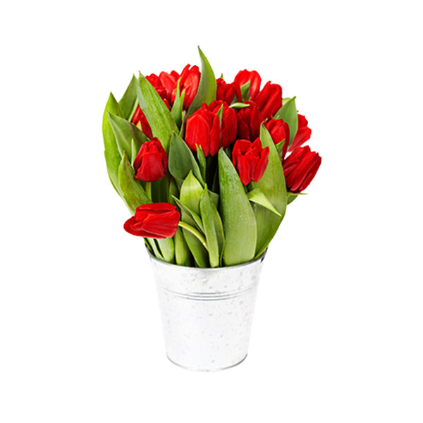 Lan Hồ Điệp 18 Cành TP002