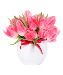 Hoa sinh nhật V546