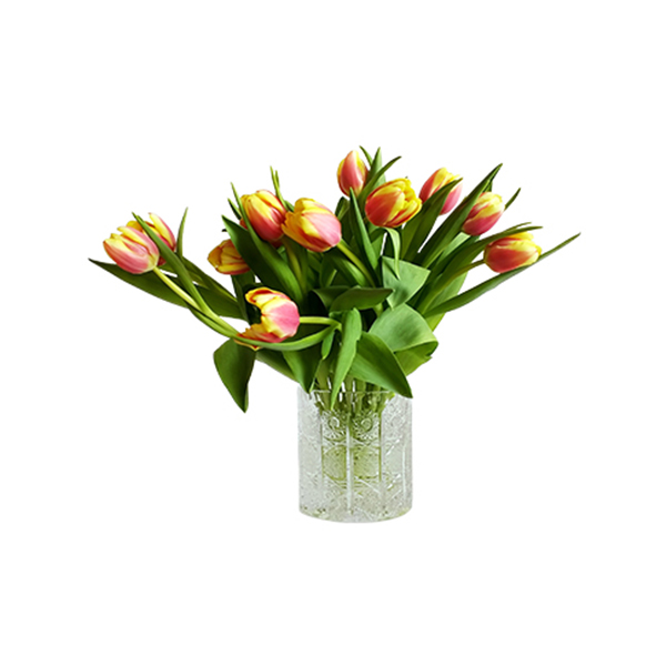 Lan Hồ Điệp 6 cành TP001