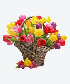 Hoa Khai Trương V338