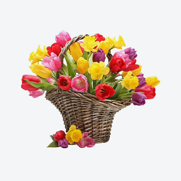 Hoa Khai Trương V338